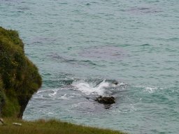 Irland 1